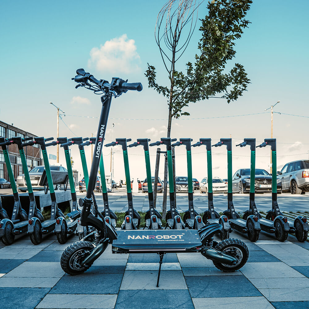 Electric Scooter Governance