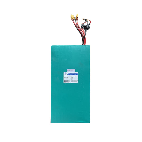 LS7+ 60V40A Replacement Battery - NANROBOT