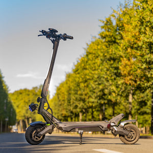 NANROBOT N6 Electric Scooter